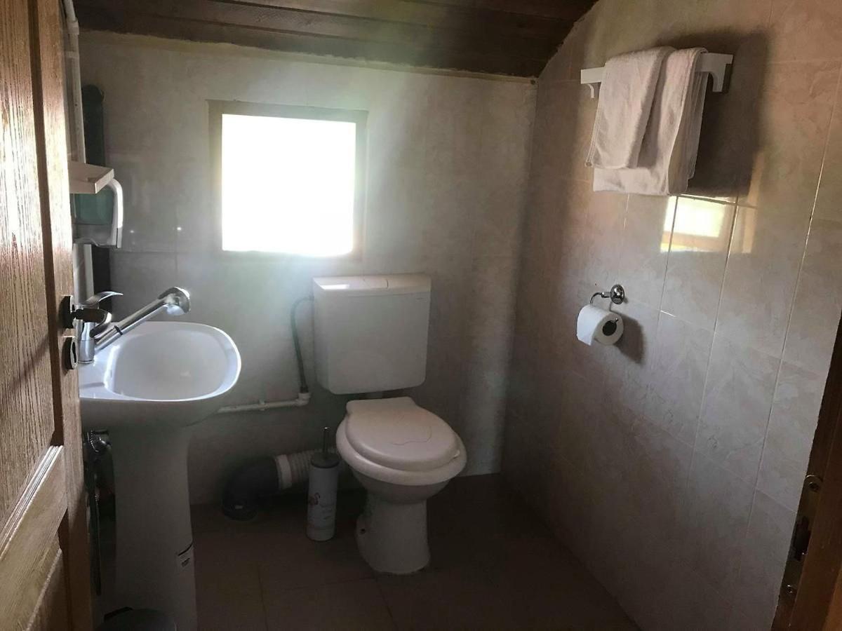 Hostel Flamingo Костинешти Экстерьер фото